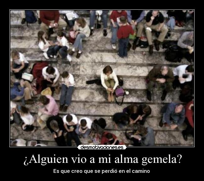 ¿Alguien vio a mi alma gemela? -