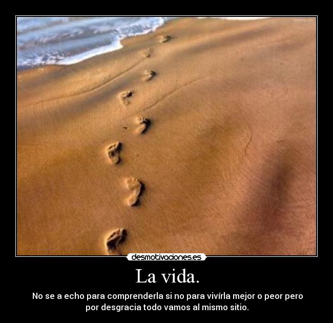 La vida. -  No se a echo para comprenderla si no para vivírla mejor o peor pero
por desgracia todo vamos al mismo sitio.