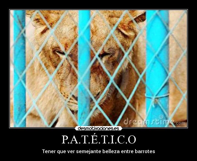 carteles patetico desmotivaciones