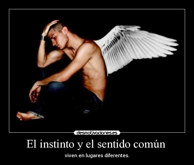 El instinto y el sentido común - viven en lugares diferentes.