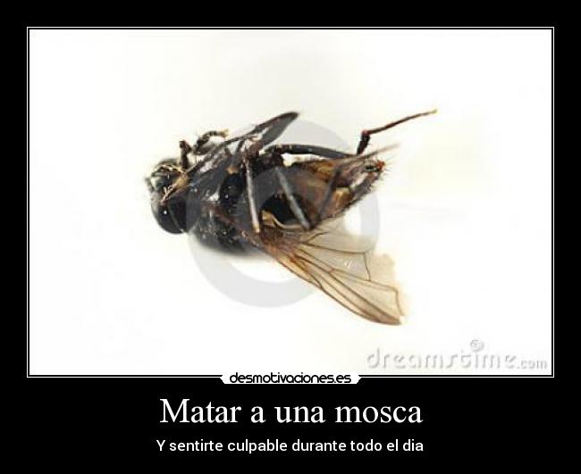 Matar a una mosca -
