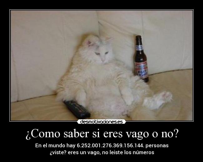 carteles vago desmotivaciones