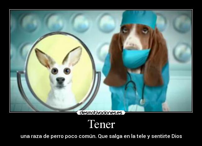 Tener -