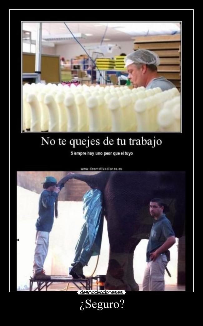 ¿Seguro? - 