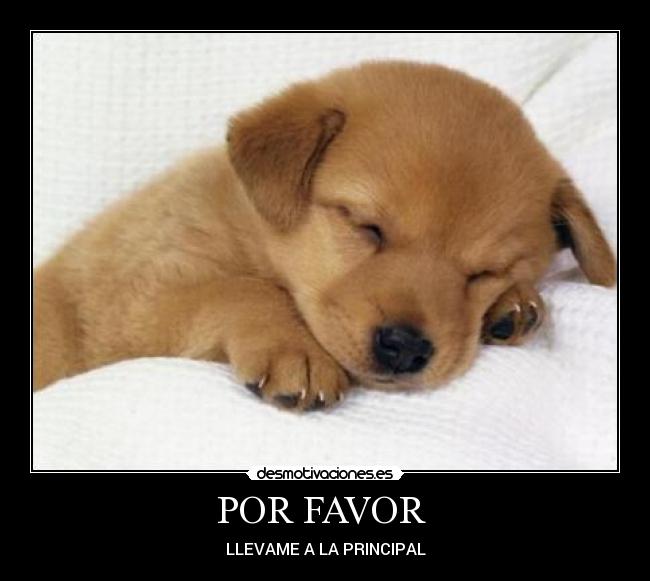 POR FAVOR - LLEVAME A LA PRINCIPAL