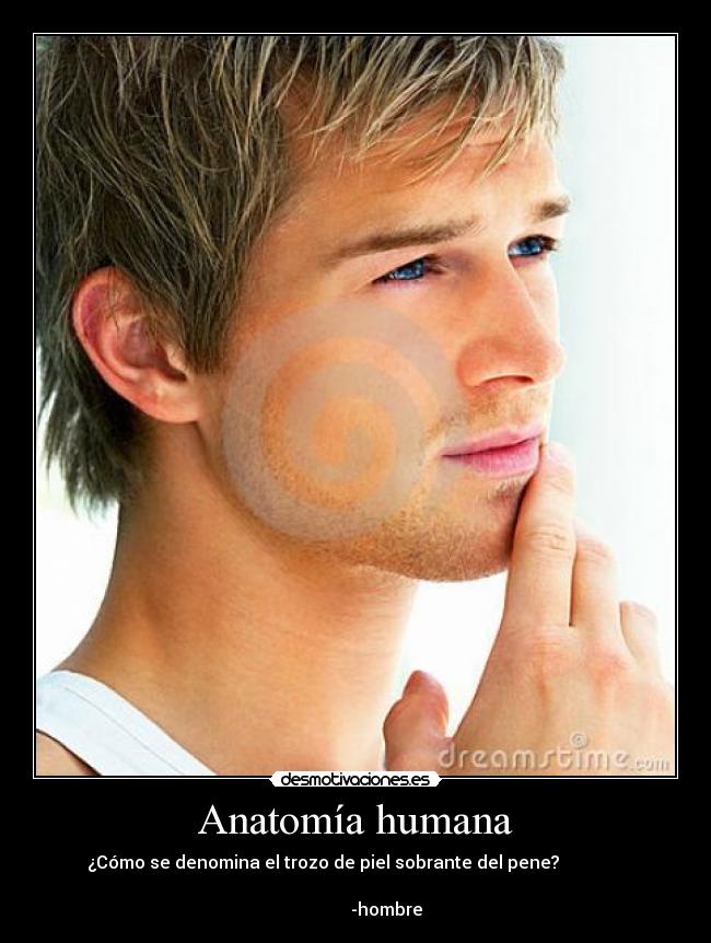 Anatomía humana - ¿Cómo se denomina el trozo de piel sobrante del pene?
-hombre