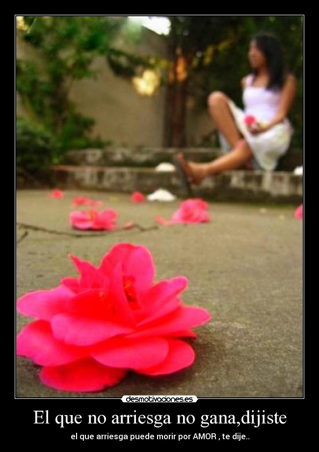 El que no arriesga no gana,dijiste - el que arriesga puede morir por AMOR , te dije..