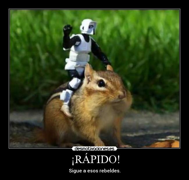 carteles vota positivo atentamente flam from robywan desmotivaciones