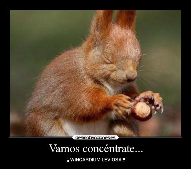 Vamos concéntrate... - 