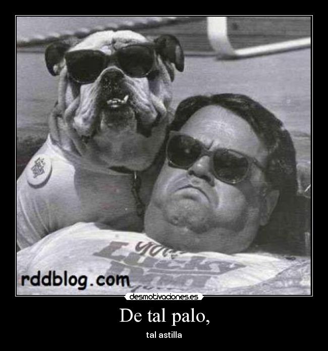 De tal palo, - tal astilla