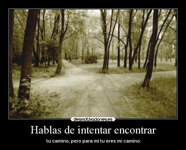 Hablas de intentar encontrar - 