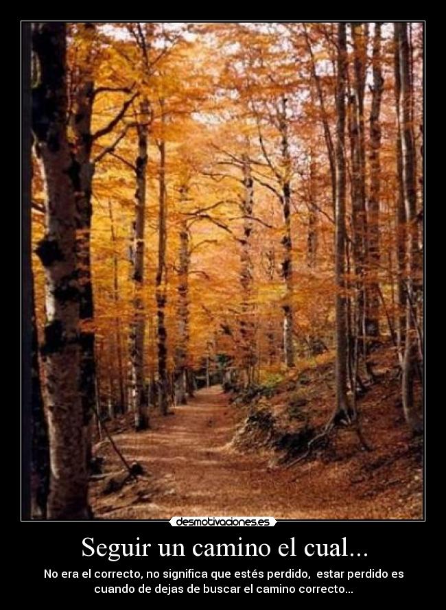 Seguir un camino el cual... -