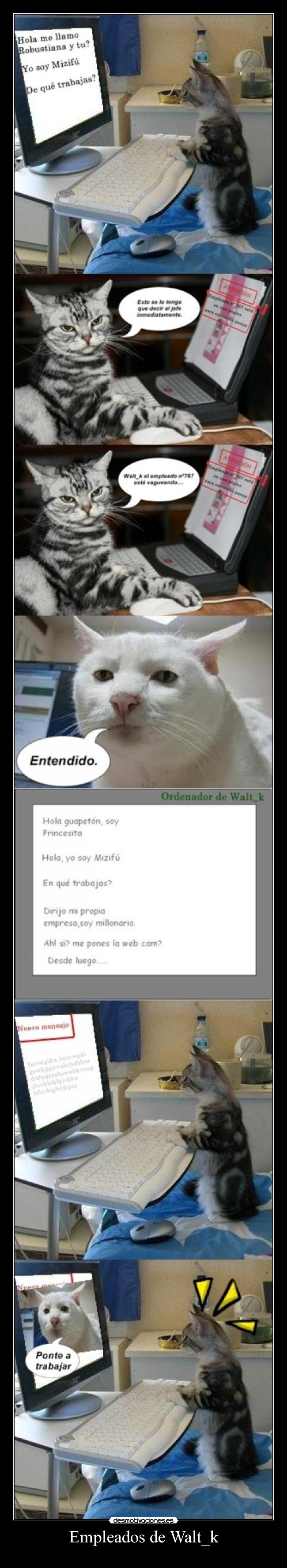 Empleados de Walt_k -