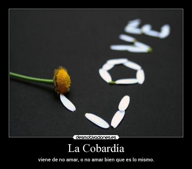 La Cobardía - viene de no amar, o no amar bien que es lo mismo.