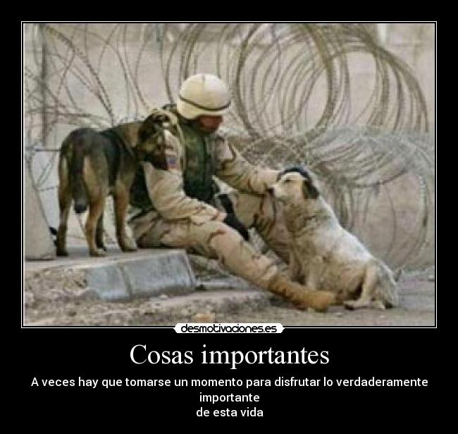 carteles importante honor lealtad patriotismo desmotivaciones