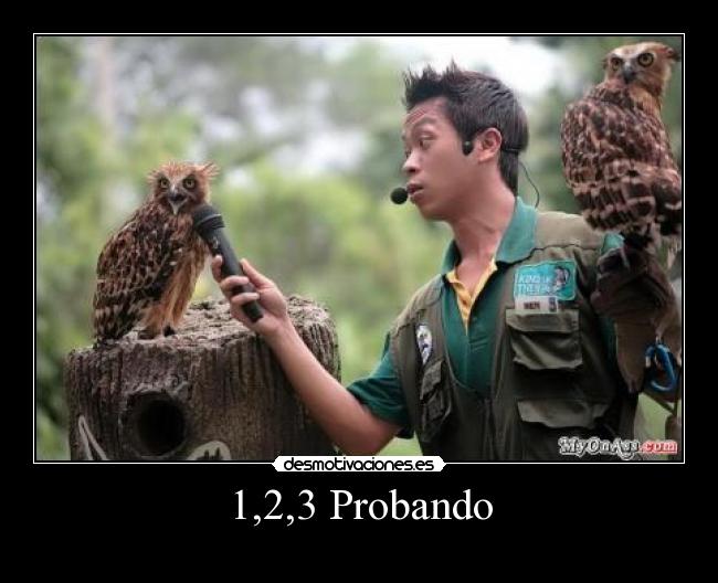 1,2,3 Probando -