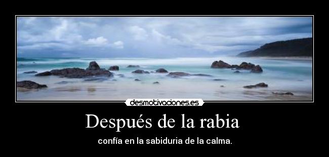 Después de la rabia -
