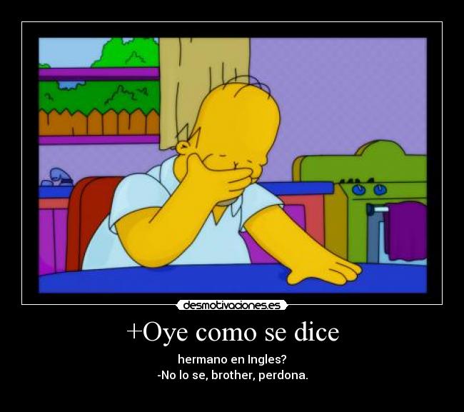 +Oye como se dice -  hermano en Ingles? 
-No lo se, brother, perdona.
