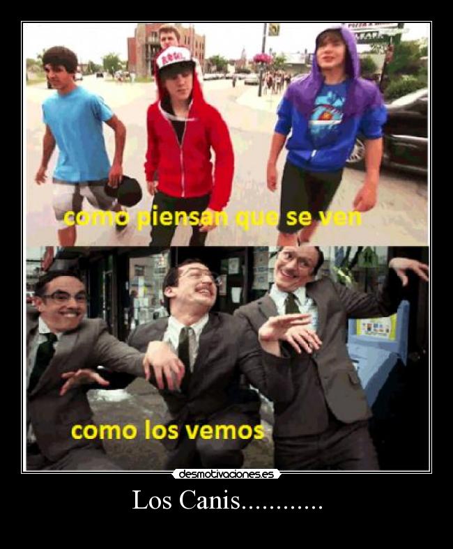 Los Canis............ -
