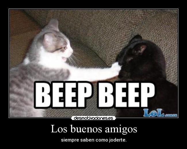 carteles amigos jodertegatosamigoauto desmotivaciones