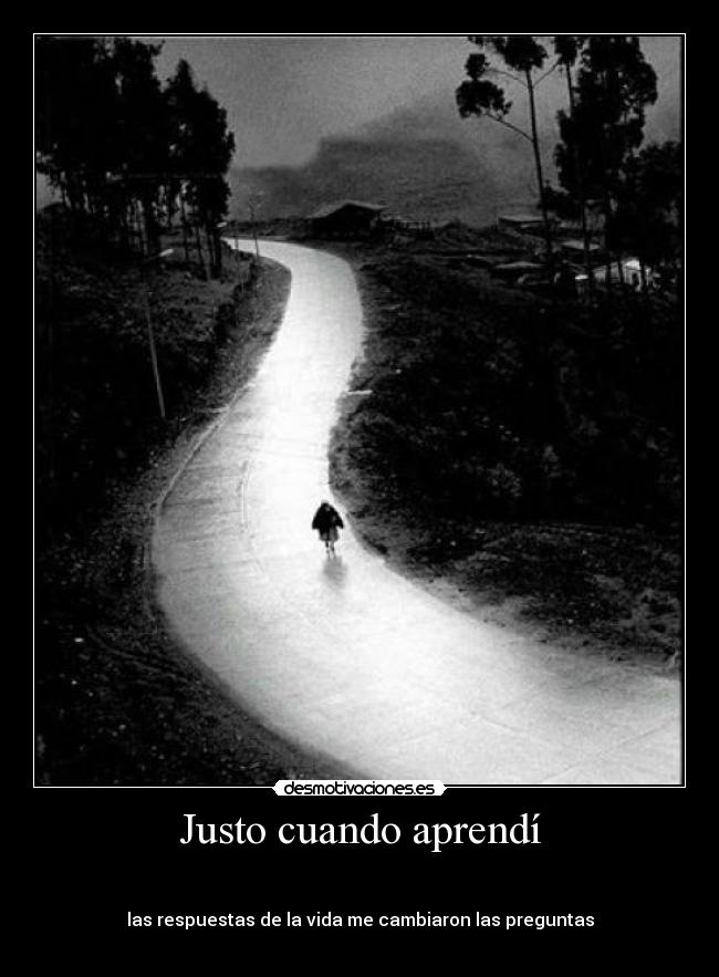 carteles aprender respuestas vida desmotivaciones