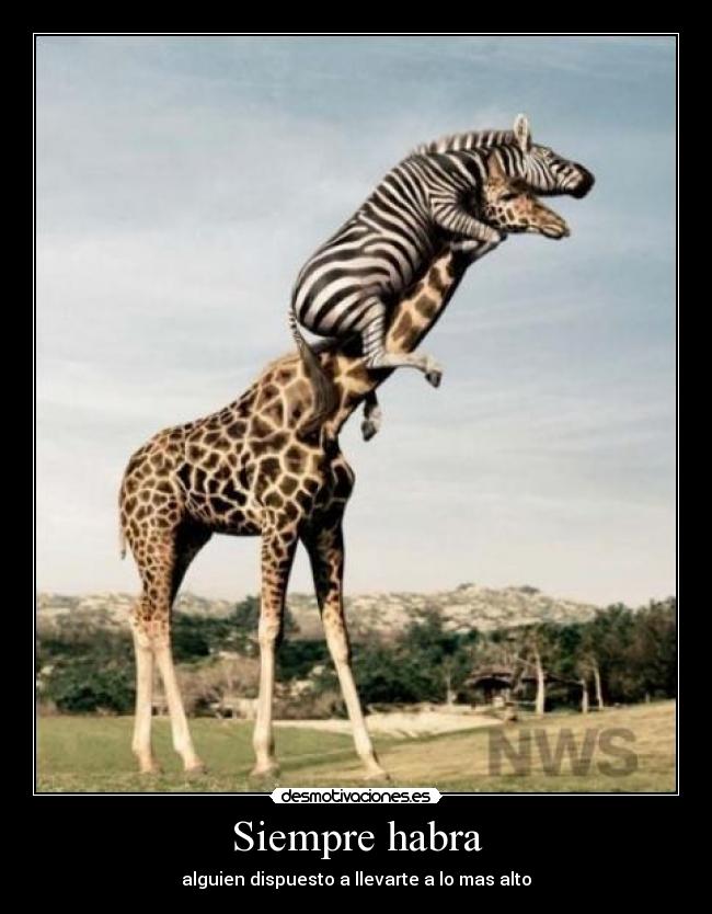 Siempre habra - 