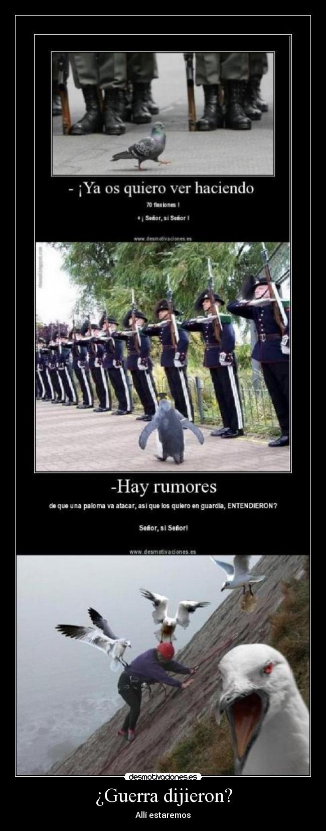 ¿Guerra dijieron? -