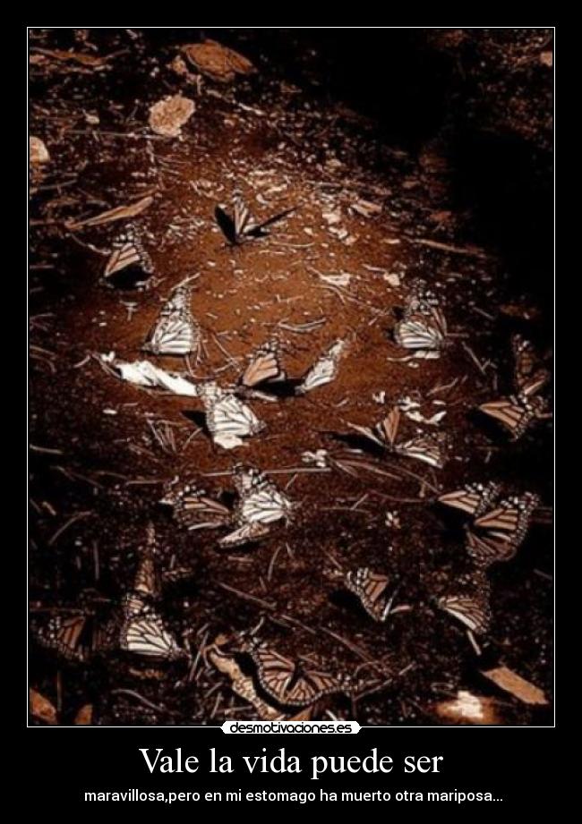 Vale la vida puede ser - maravillosa,pero en mi estomago ha muerto otra mariposa...