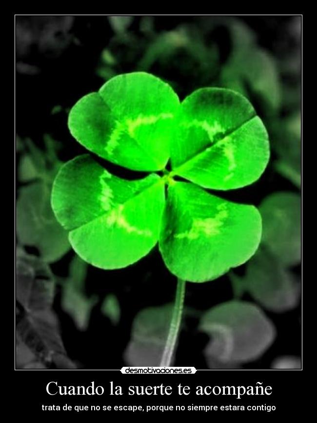 carteles cuando suerte acompane desmotivaciones