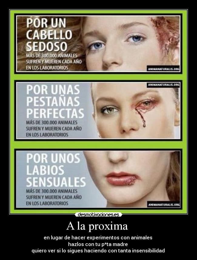 carteles experimentos animales desmotivaciones