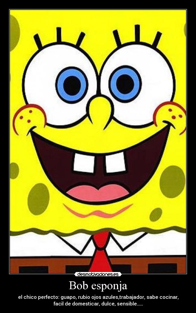 Bob esponja - el chico perfecto: guapo, rubio ojos azules,trabajador, sabe cocinar,
facil de domesticar, dulce, sensible.....