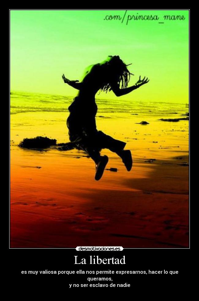 carteles libertad roxe desmotivaciones