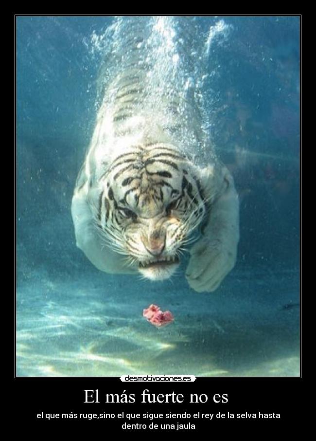 El más fuerte no es  - 