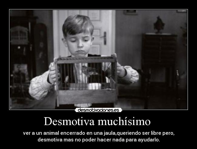 Desmotiva muchísimo  - 