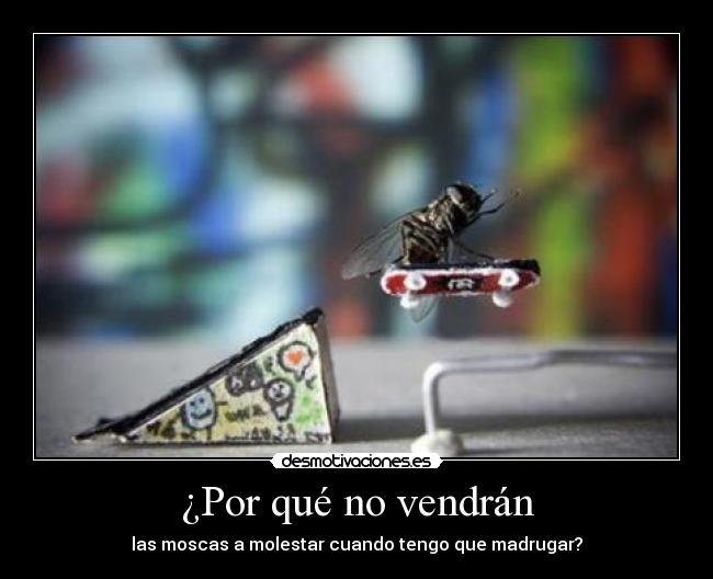 carteles asi espabilo antes porque dejan paz moscas asquerosas desmotivaciones