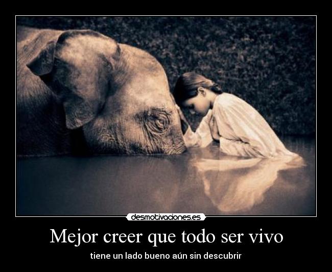 Mejor creer que todo ser vivo - 