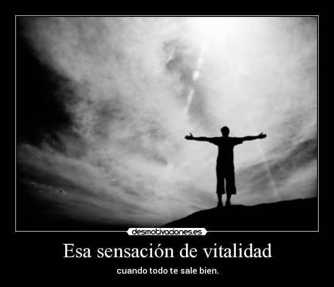 carteles vitalidad desmotivaciones