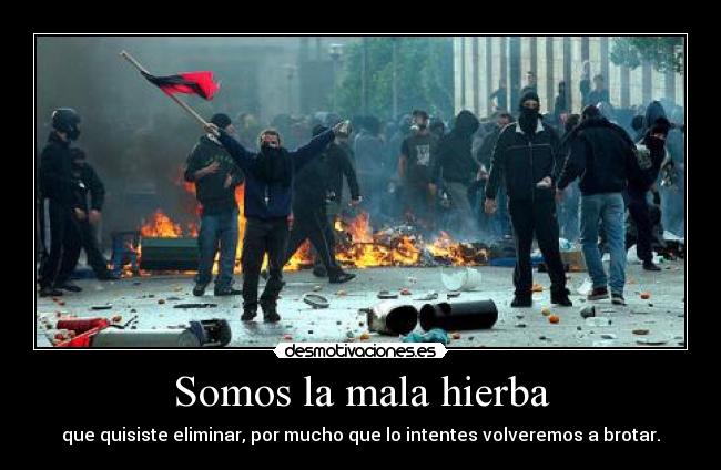 Somos la mala hierba - que quisiste eliminar, por mucho que lo intentes volveremos a brotar.