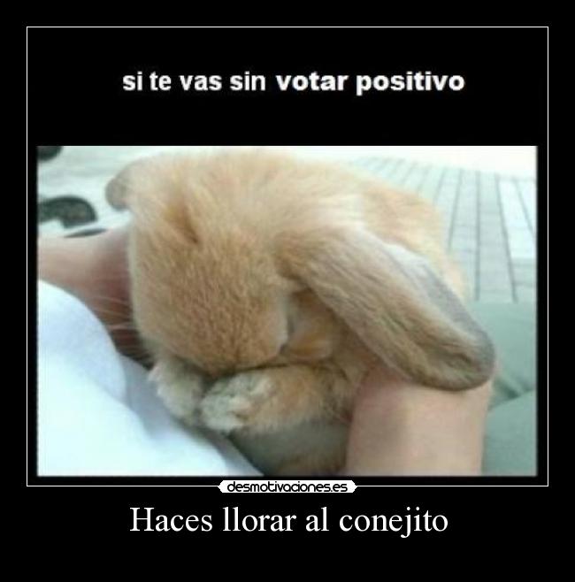 Haces llorar al conejito -