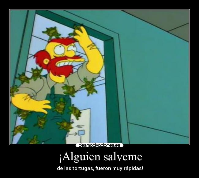 ¡Alguien salveme - de las tortugas, fueron muy rápidas!
