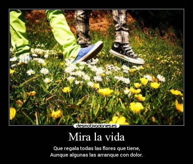 Mira la vida - 