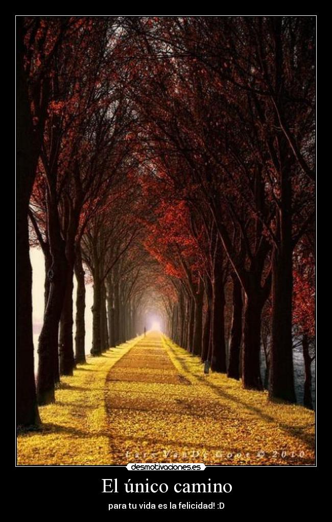 El único camino - para tu vida es la felicidad! :D