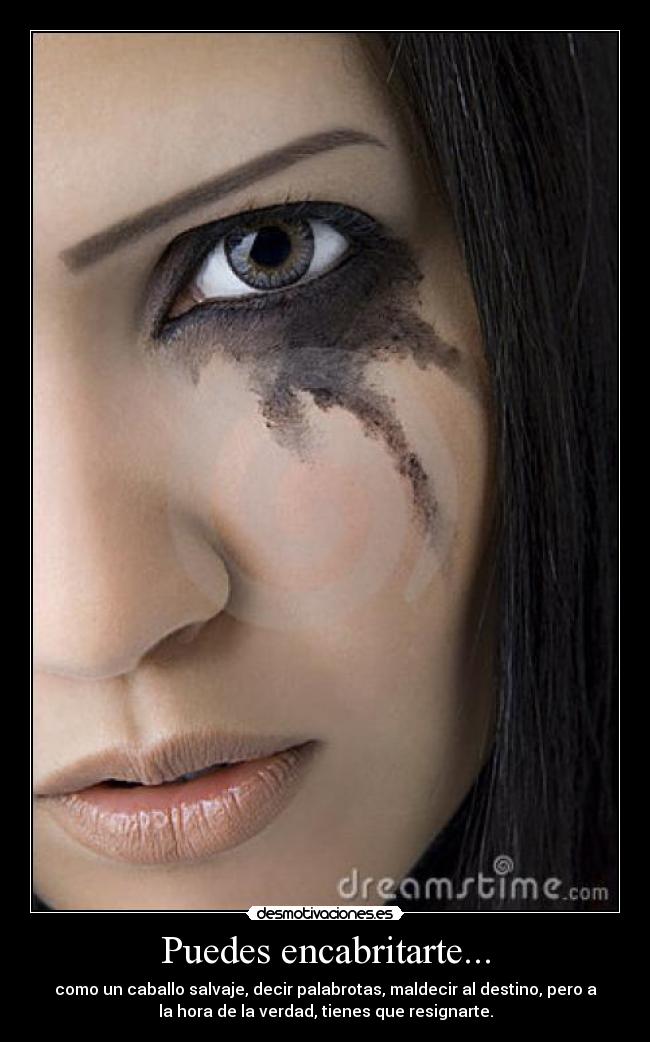 Puedes encabritarte... - como un caballo salvaje, decir palabrotas, maldecir al destino, pero a
la hora de la verdad, tienes que resignarte.