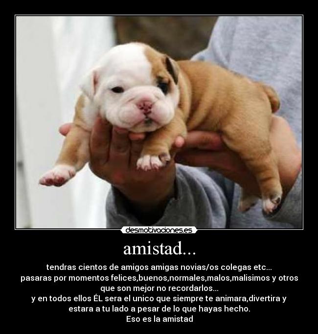 amistad... -