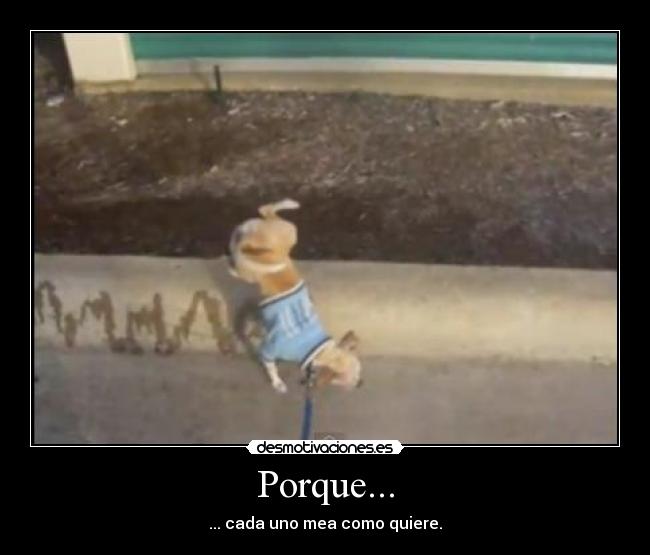 Porque... - ... cada uno mea como quiere.