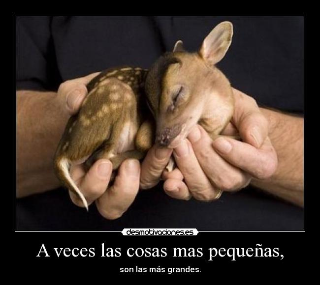 A veces las cosas mas pequeñas, - son las más grandes.