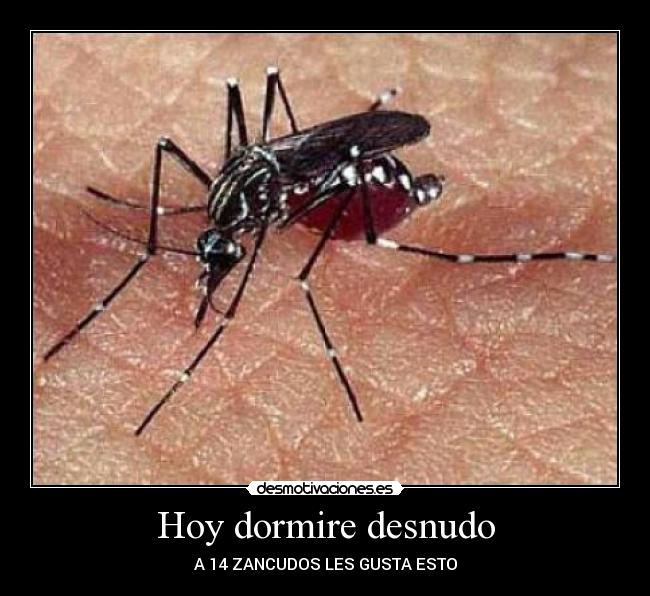 Hoy dormire desnudo -