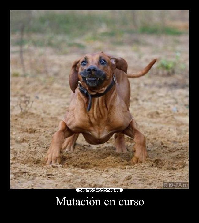 Mutación en curso -