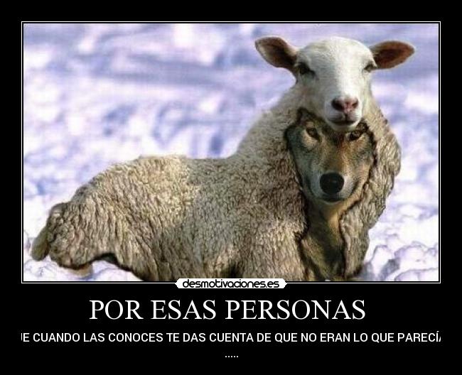 POR ESAS PERSONAS - QUE CUANDO LAS CONOCES TE DAS CUENTA DE QUE NO ERAN LO QUE PARECÍAN
.....