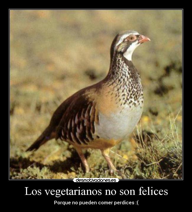 Los vegetarianos no son felices - Porque no pueden comer perdices :(